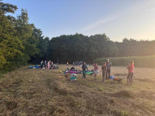 Therese 05f8f059-989e-446c-838b-00713d4292ae